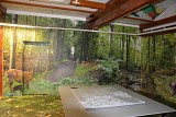 17.06.2026 - WYCIECZKA DO NADLEŚNICTWA W BIELSKU-BIAŁEJ