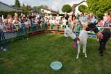 16.06.2023 - 11 PIKNIK RODZINNY