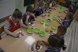 17.12.2024 - ZAJĘCIA KULINARNE - ŚWIĄTECZNE CIASTECZKA